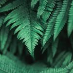 吾爱吃瓜回家的路 drrd7k4d